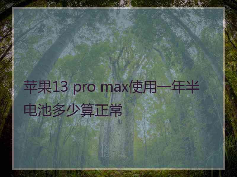 苹果13 pro max使用一年半电池多少算正常