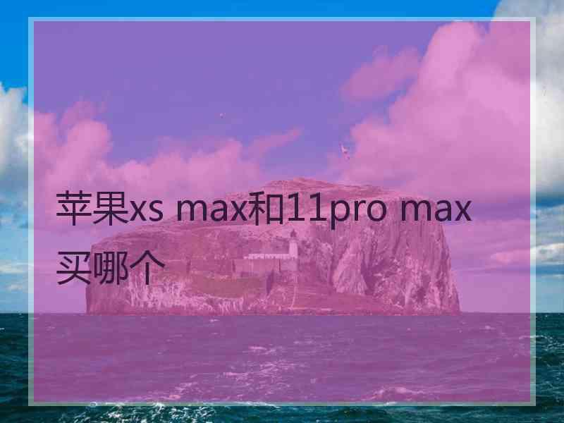 苹果xs max和11pro max买哪个