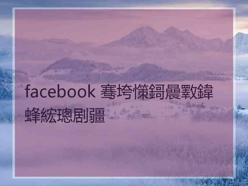 facebook 骞垮憡鎶曟斁鍏蜂綋璁剧疆