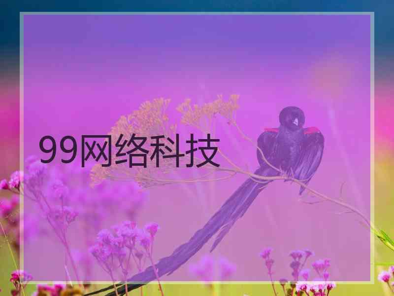 99网络科技