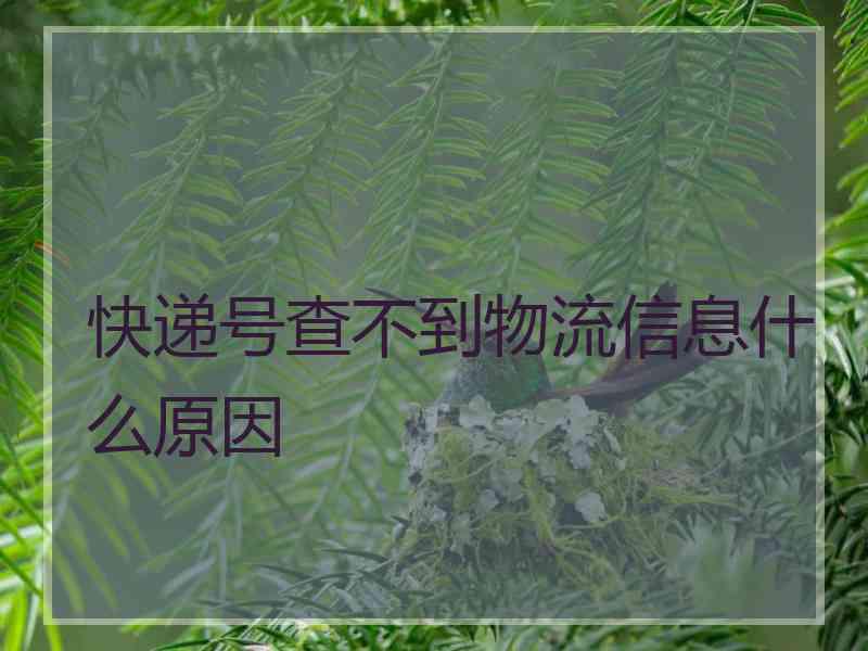 快递号查不到物流信息什么原因