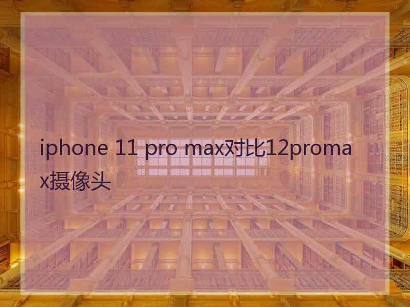 iphone 11 pro max对比12promax摄像头