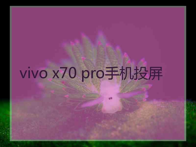 vivo x70 pro手机投屏