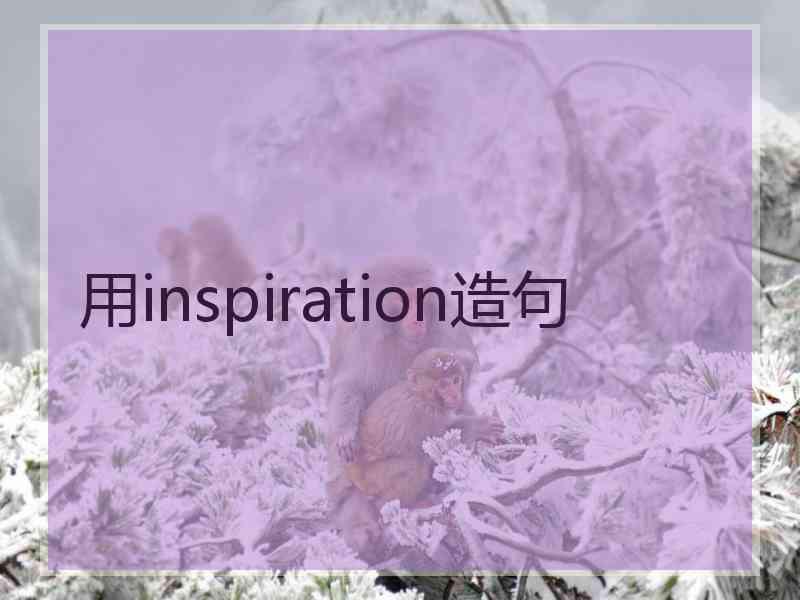 用inspiration造句