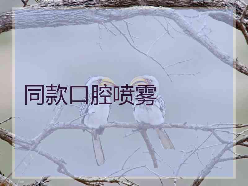 同款口腔喷雾