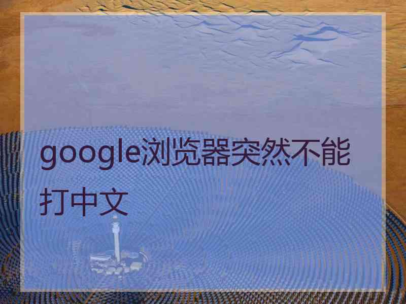 google浏览器突然不能打中文