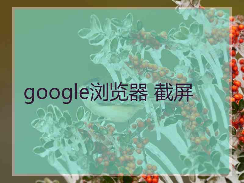 google浏览器 截屏