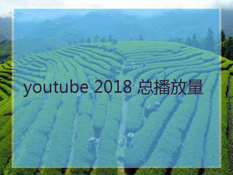 youtube 2018 总播放量