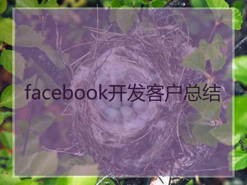 facebook开发客户总结