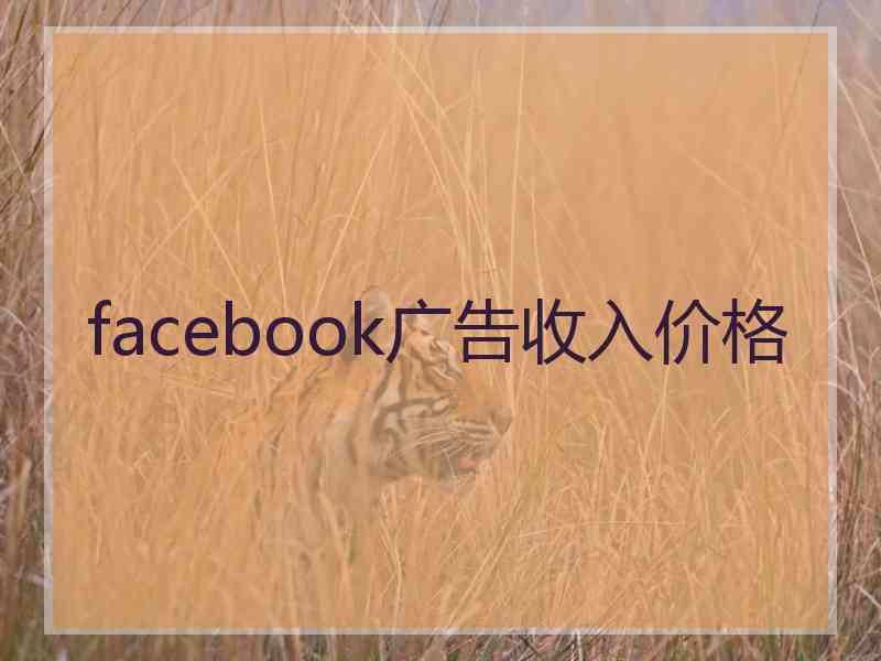 facebook广告收入价格