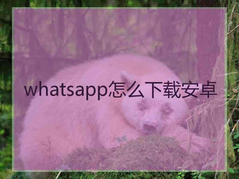 whatsapp怎么下载安卓