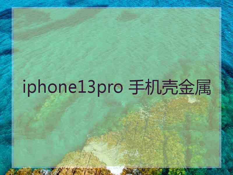 iphone13pro 手机壳金属