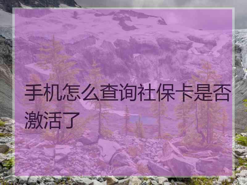 手机怎么查询社保卡是否激活了