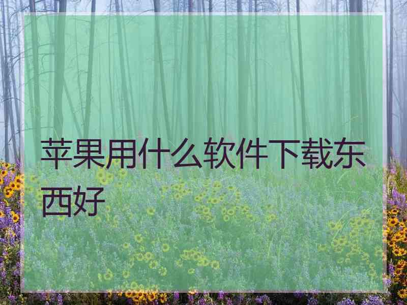 苹果用什么软件下载东西好