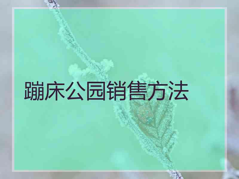 蹦床公园销售方法