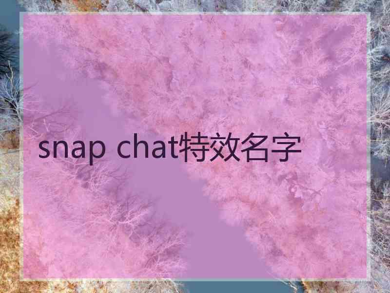 snap chat特效名字