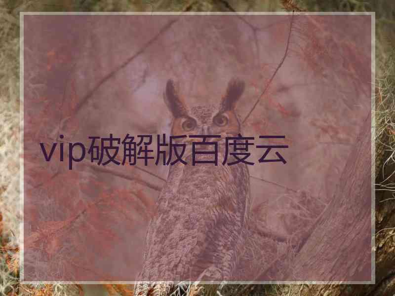 vip破解版百度云