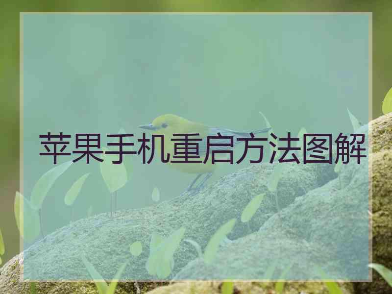 苹果手机重启方法图解