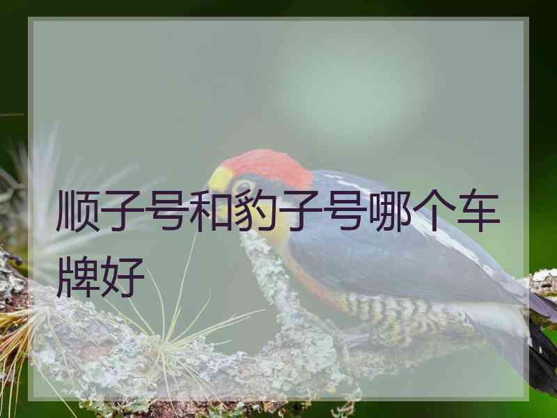 顺子号和豹子号哪个车牌好