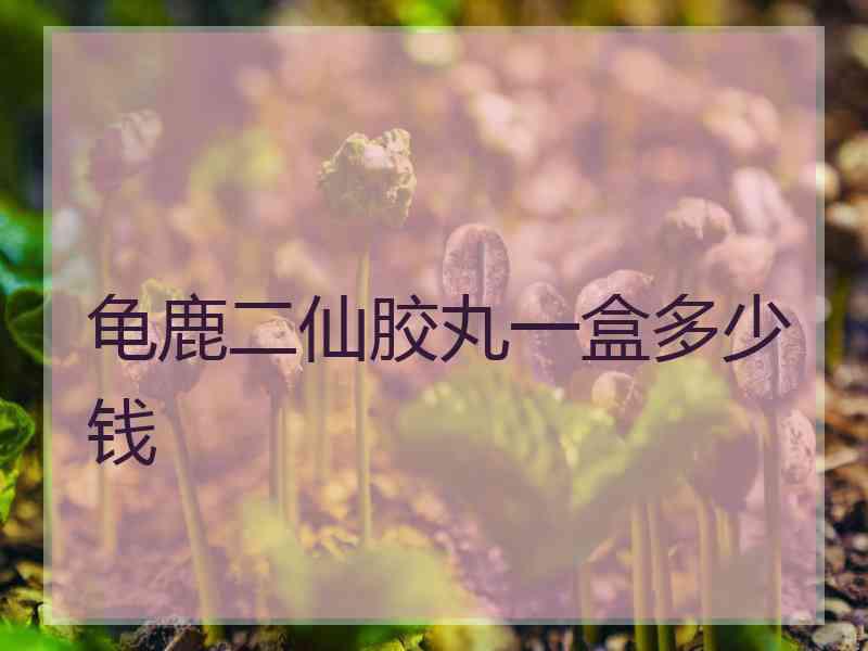 龟鹿二仙胶丸一盒多少钱