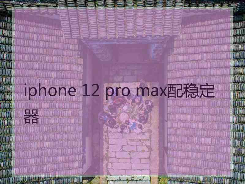 iphone 12 pro max配稳定器