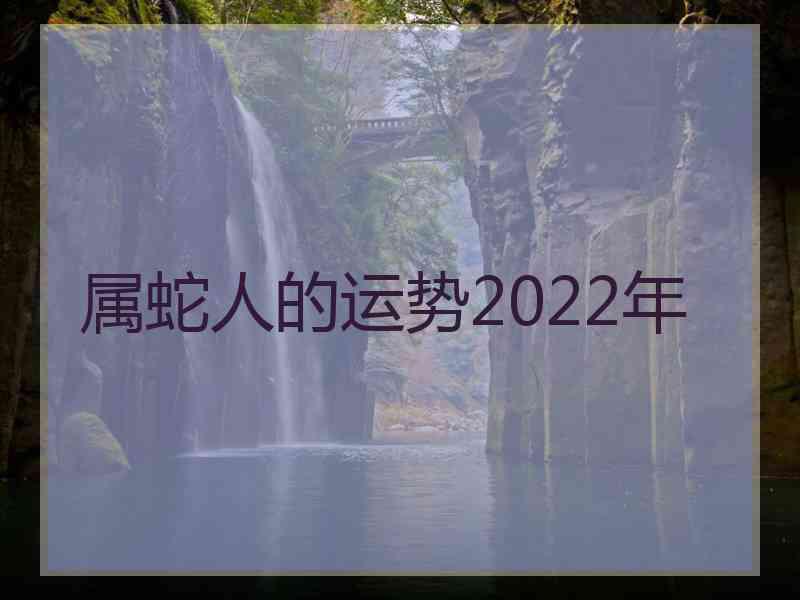 属蛇人的运势2022年