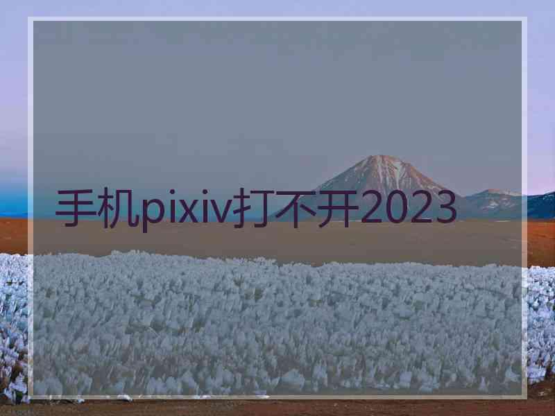 手机pixiv打不开2023