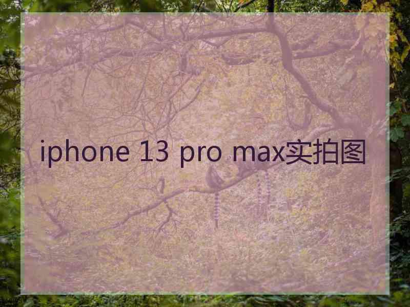 iphone 13 pro max实拍图