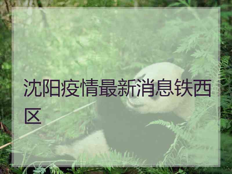 沈阳疫情最新消息铁西区