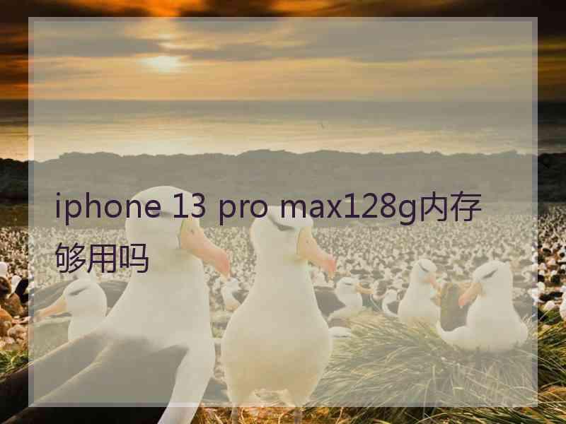 iphone 13 pro max128g内存够用吗