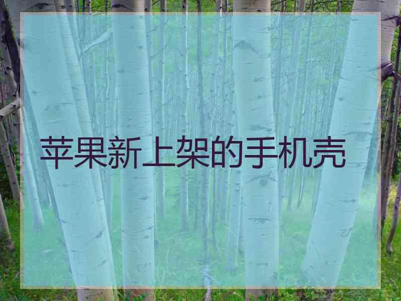 苹果新上架的手机壳