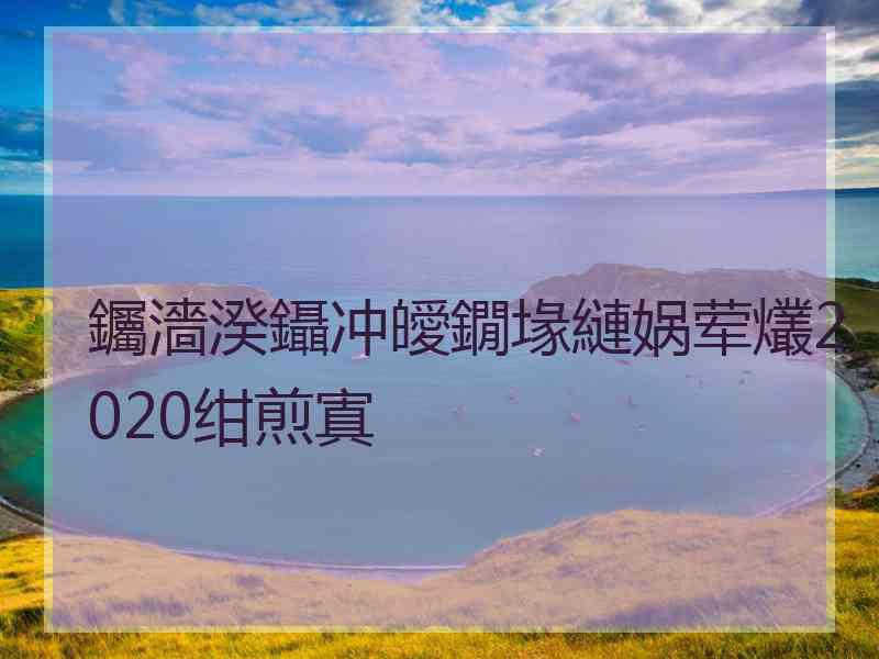 钃濇湀鑷冲皧鐗堟縺娲荤爜2020绀煎寘