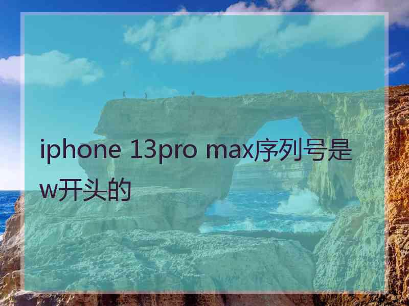 iphone 13pro max序列号是w开头的