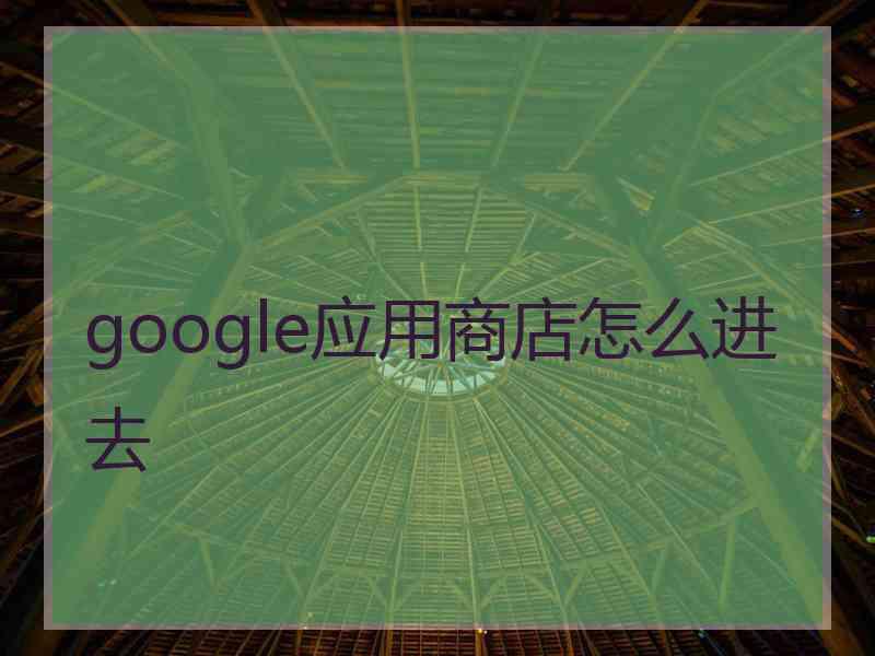 google应用商店怎么进去