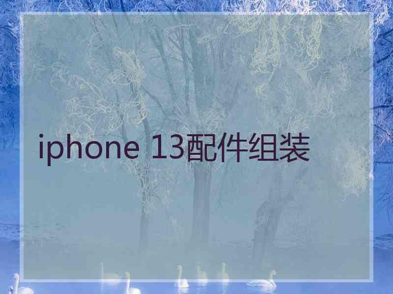 iphone 13配件组装