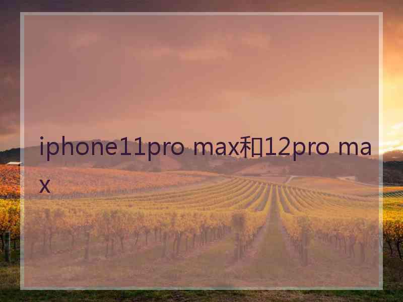 iphone11pro max和12pro max