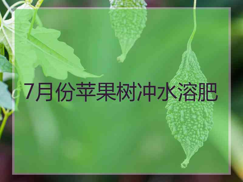 7月份苹果树冲水溶肥