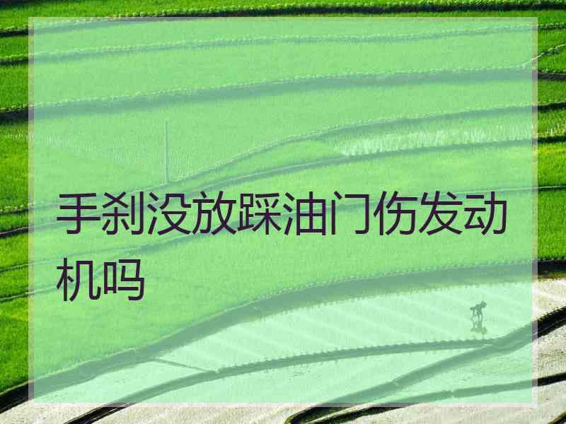 手刹没放踩油门伤发动机吗