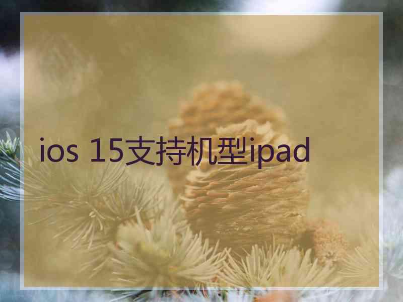 ios 15支持机型ipad