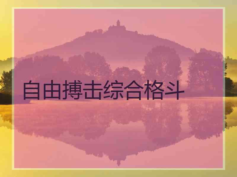 自由搏击综合格斗