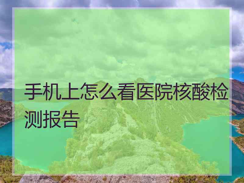 手机上怎么看医院核酸检测报告