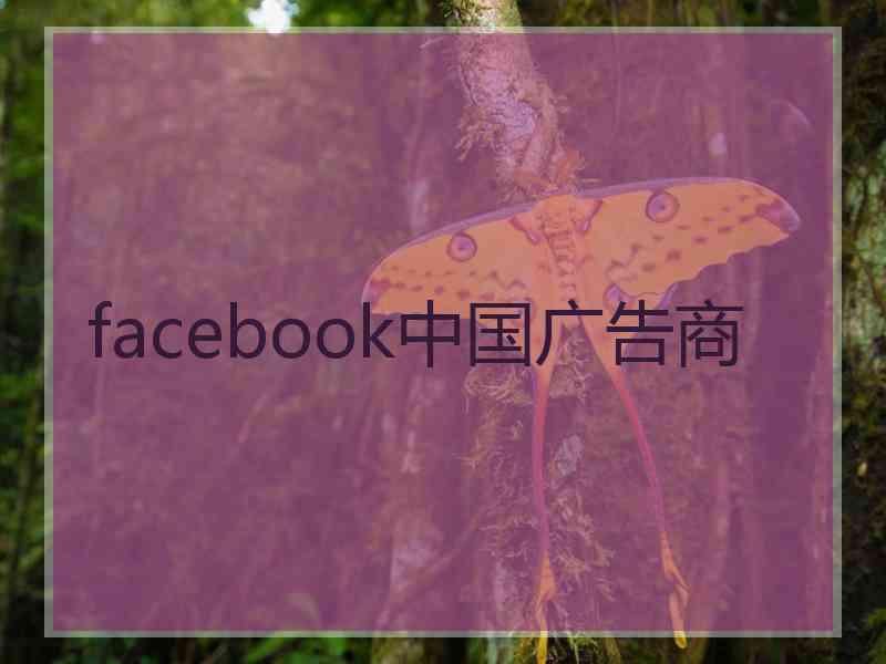 facebook中国广告商