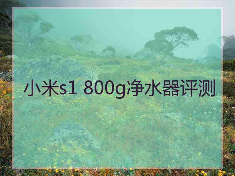 小米s1 800g净水器评测