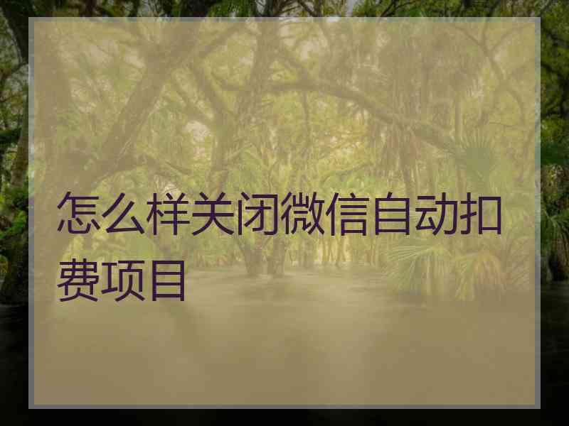 怎么样关闭微信自动扣费项目