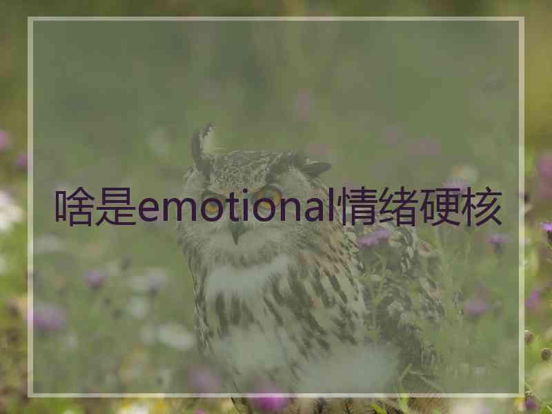 啥是emotional情绪硬核