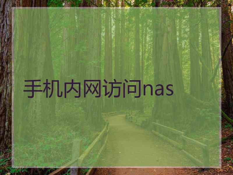 手机内网访问nas