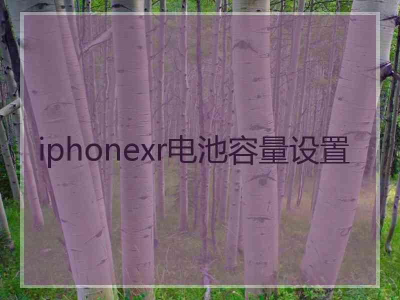 iphonexr电池容量设置