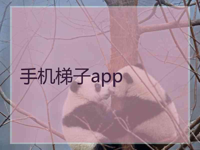 手机梯子app