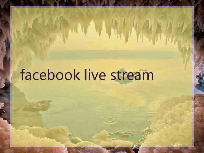 facebook live stream