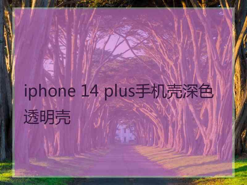 iphone 14 plus手机壳深色透明壳